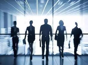 孙东前员工爆料视频,揭露公司内幕与真相 第2张 孙东前员工爆料视频,揭露公司内幕与真相 第2张